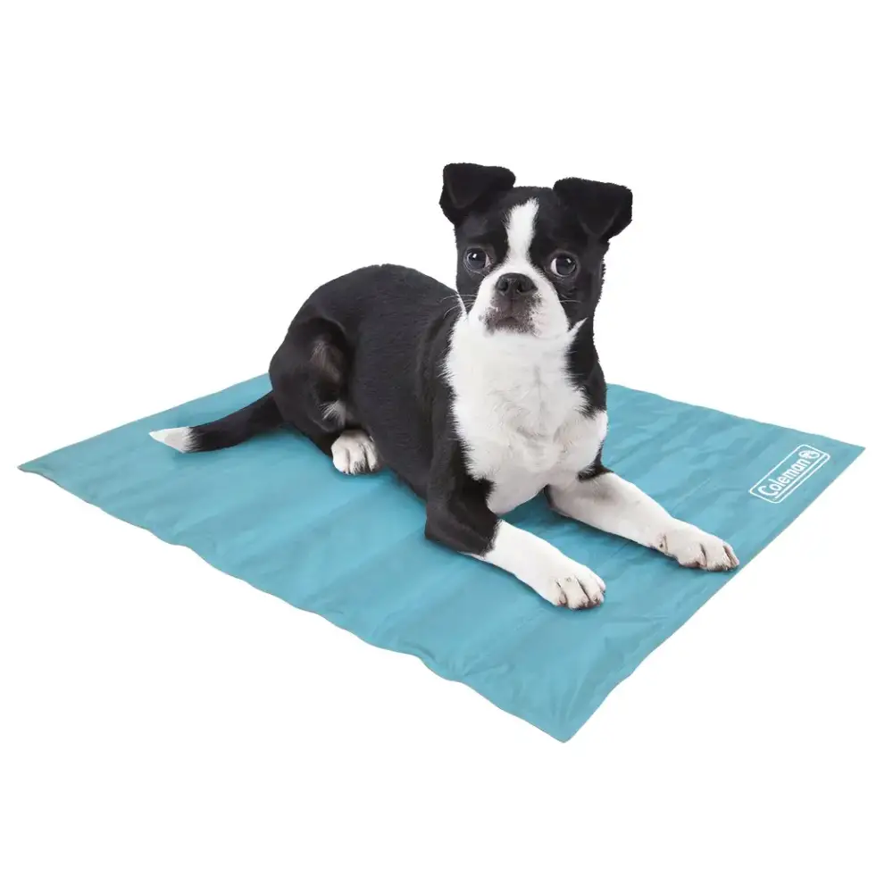 Coleman Comfort Cooling Gel Pet Pad Mat in Small 12x16 For Small Pets (Blue) - Blue / Small