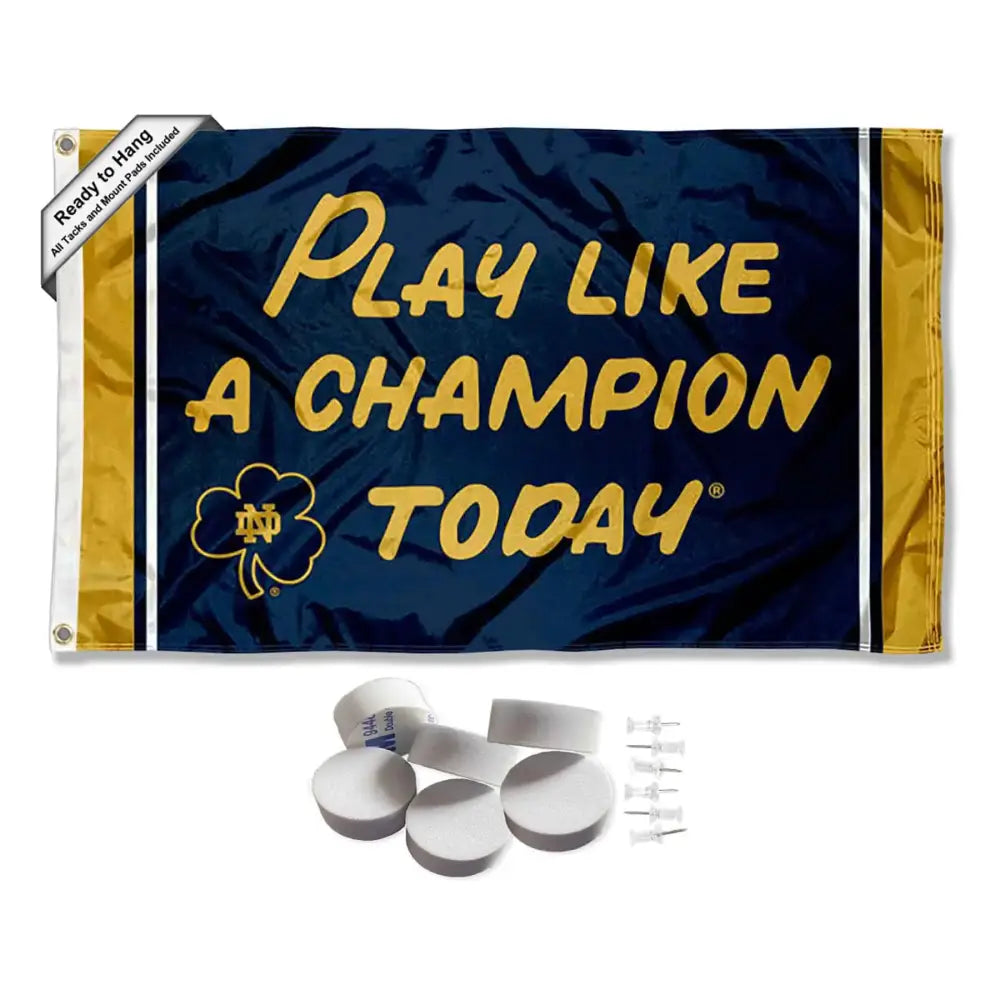 College Flags & Banners Co. Irish Play Like a Champion Banner and Tapestry Wall Tack Pads - n/a
