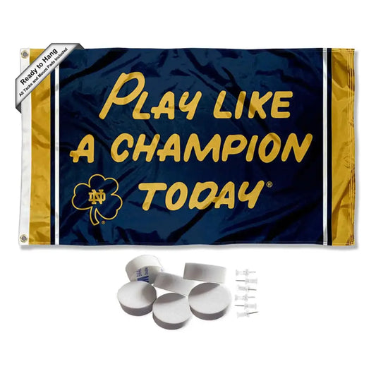 College Flags & Banners Co. Irish Play Like a Champion Banner and Tapestry Wall Tack Pads - n/a